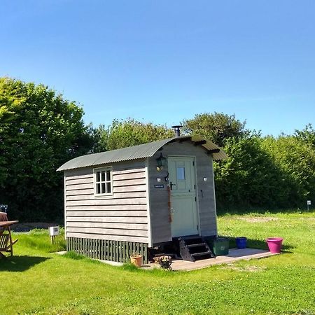 Shepherd'S Lodge - Shepherd'S Hut With Devon Views For Up To Two People And One Dog Wrangaton Extérieur photo