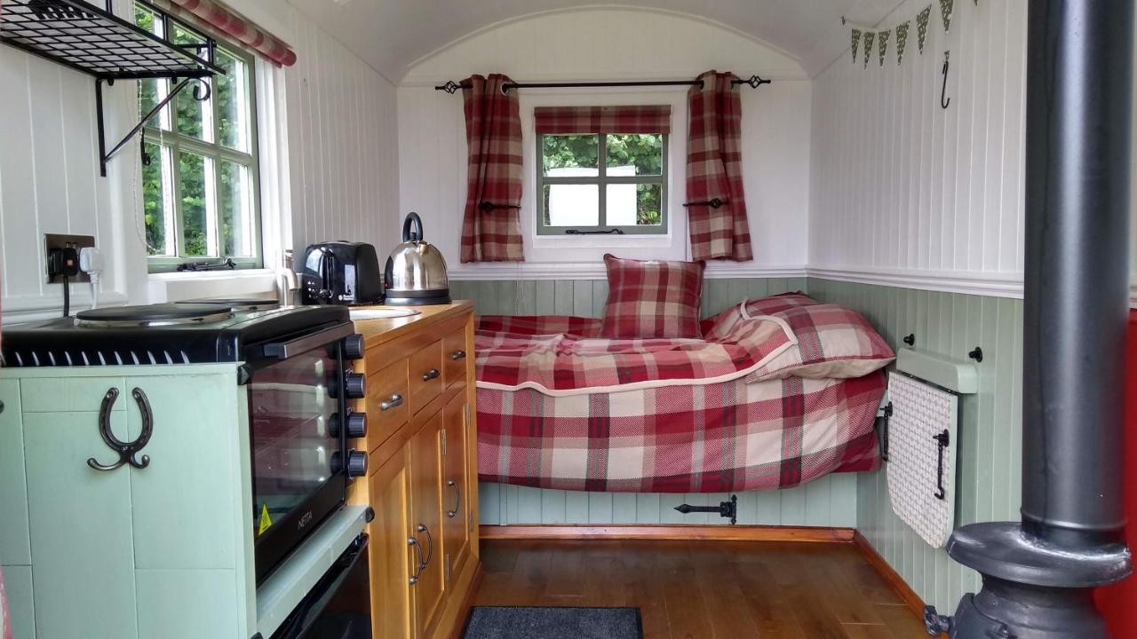 Shepherd'S Lodge - Shepherd'S Hut With Devon Views For Up To Two People And One Dog Wrangaton Extérieur photo